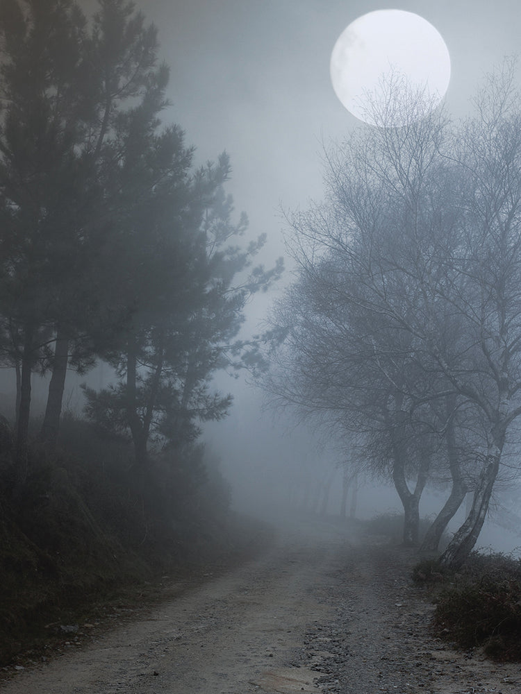 Sendero Moondance Lienzo