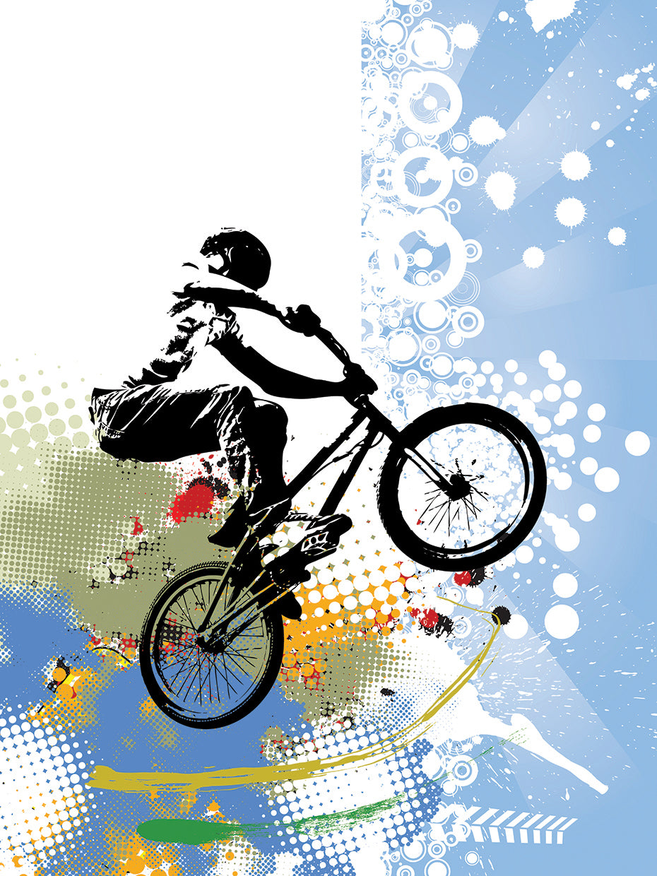 Trucos BMX Sky Lienzo