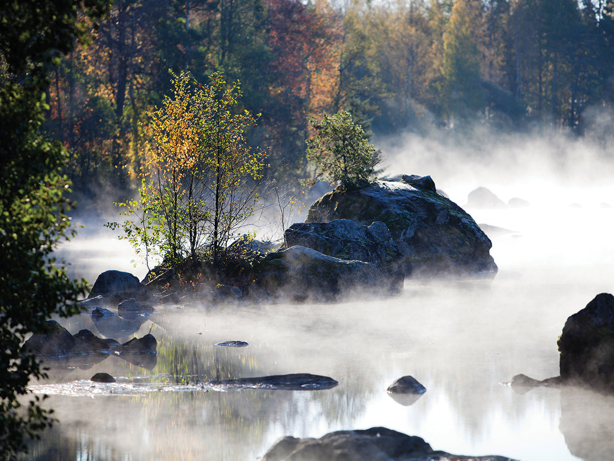 Rocks Rising from Mist
