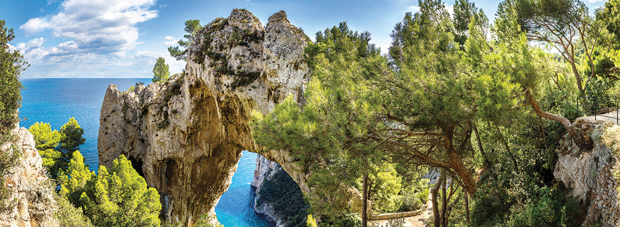 Capri de mar de verano Lienzo