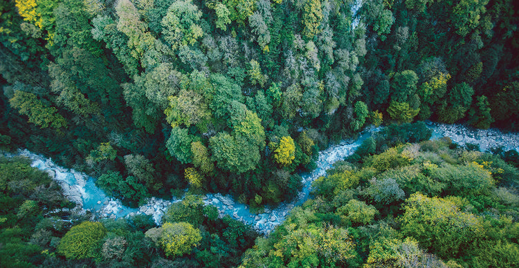 Río del bosque georgiano Lienzo