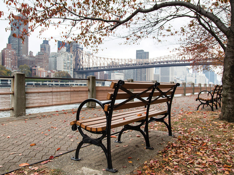 Banco romántico de Nueva York Lienzo