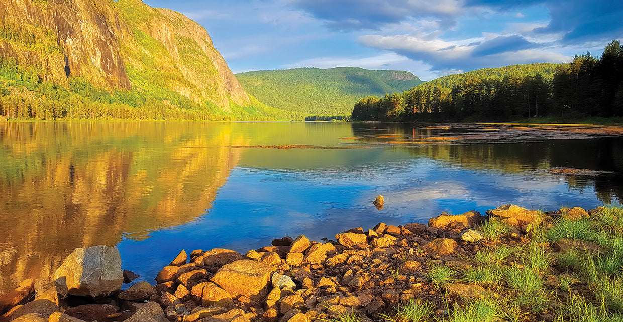 Lago de verano escandinavo Lienzo