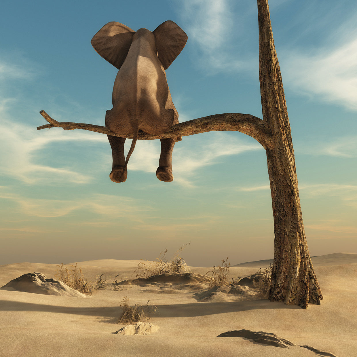 Elephant Desert Tree by DP Gallery is a dream like wildlife elephant painting printed on a canvas or framed canvas