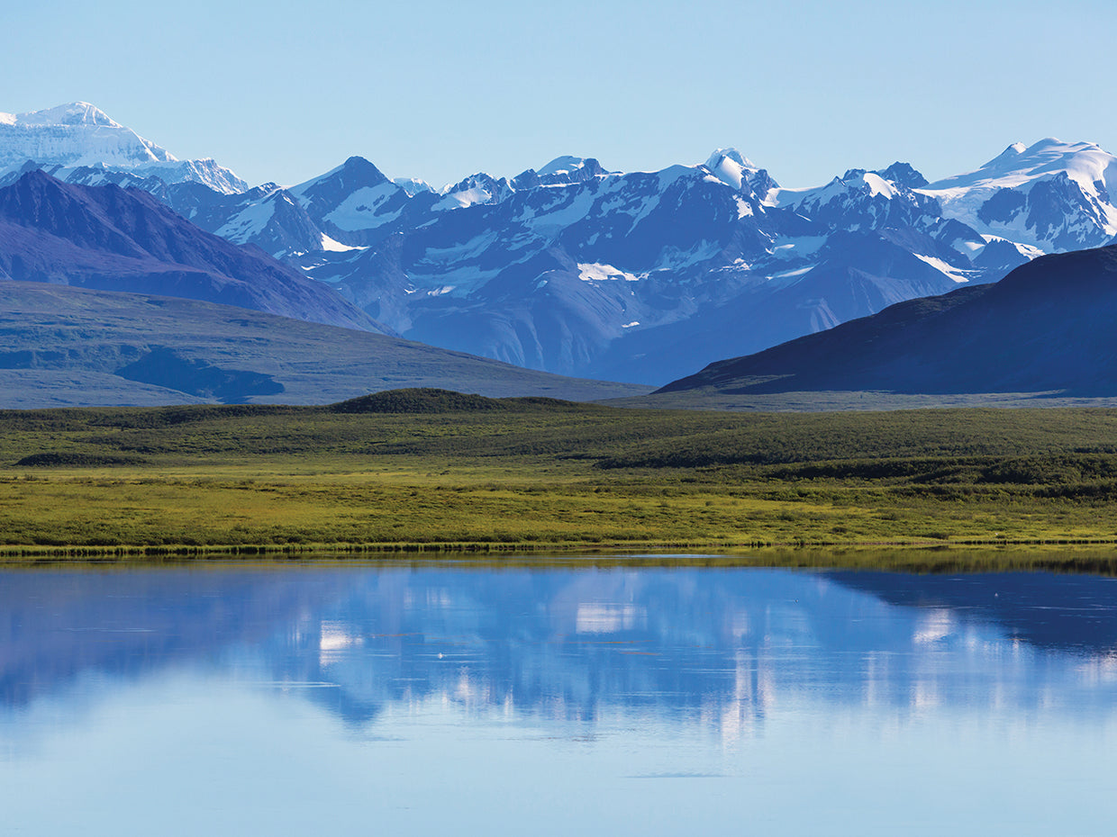 Lago Tundra de Alaska Lienzo
