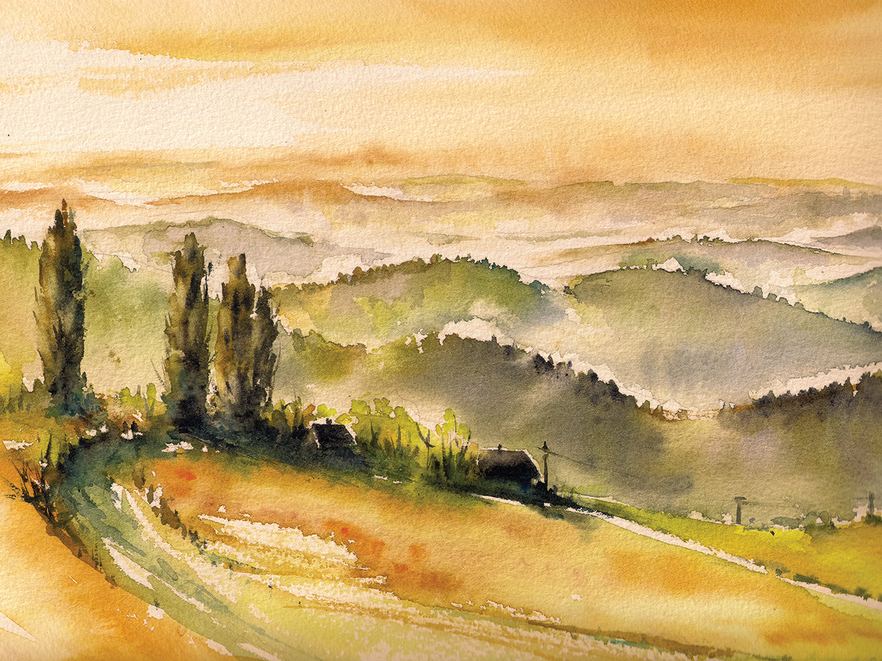 Gentle Colors Vineyard