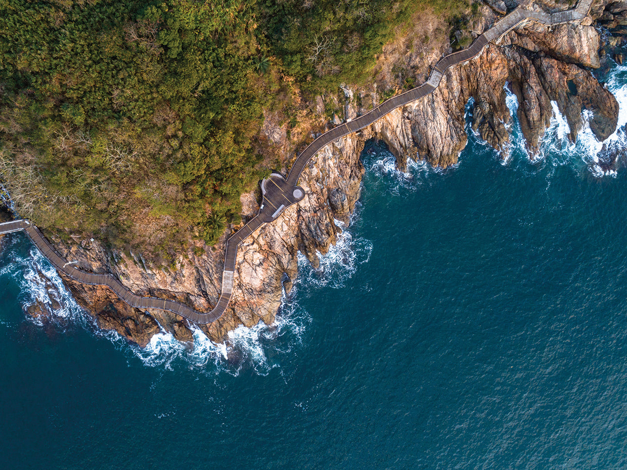 Costa de ojo de pájaro Lienzo
