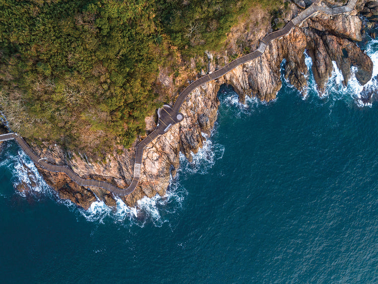 Costa de ojo de pájaro Lienzo