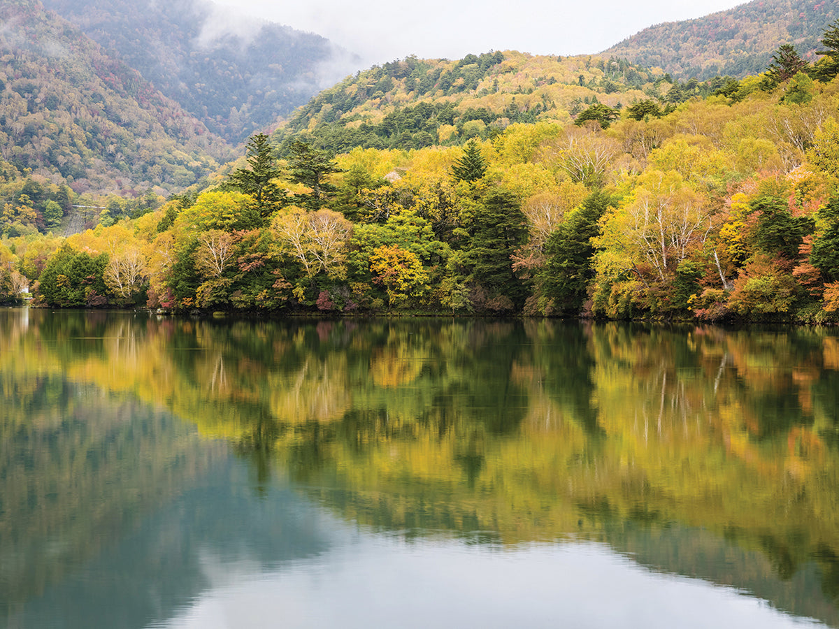 Japanese Autumn Zen