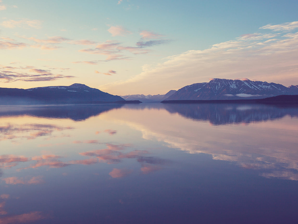 Violetas del lago tundra Lienzo