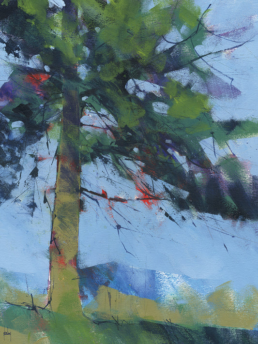 Gilfach Pine Canvas Print