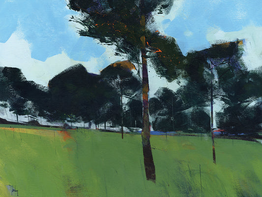 Moorland Pines Canvas Print