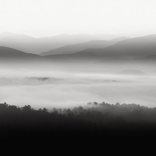Still Morning Smoky Mountains
