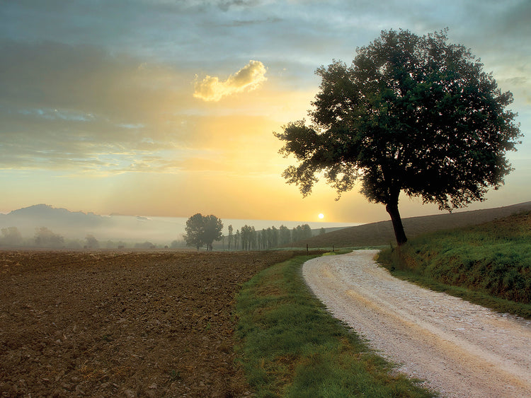 Lienzos Tuscan Farm Road #1