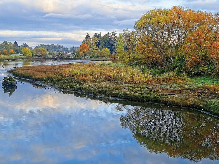 Estuario Otoño Lienzos