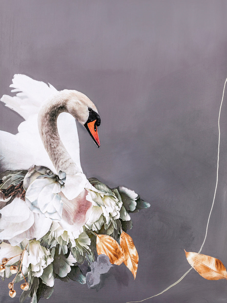 Swan Gold 1