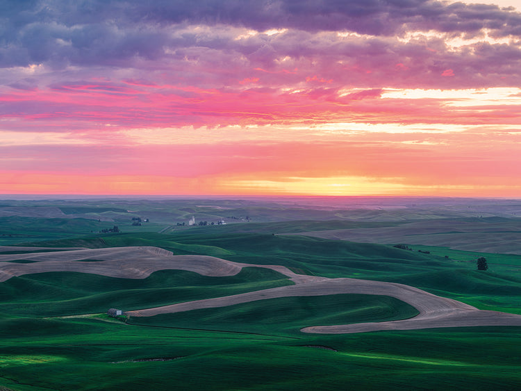Cuadros en Lienzo Atardecer Palouse