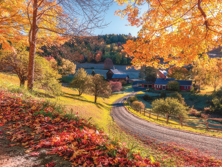 Rancho Sleepy Hollow, Vermont Lienzos