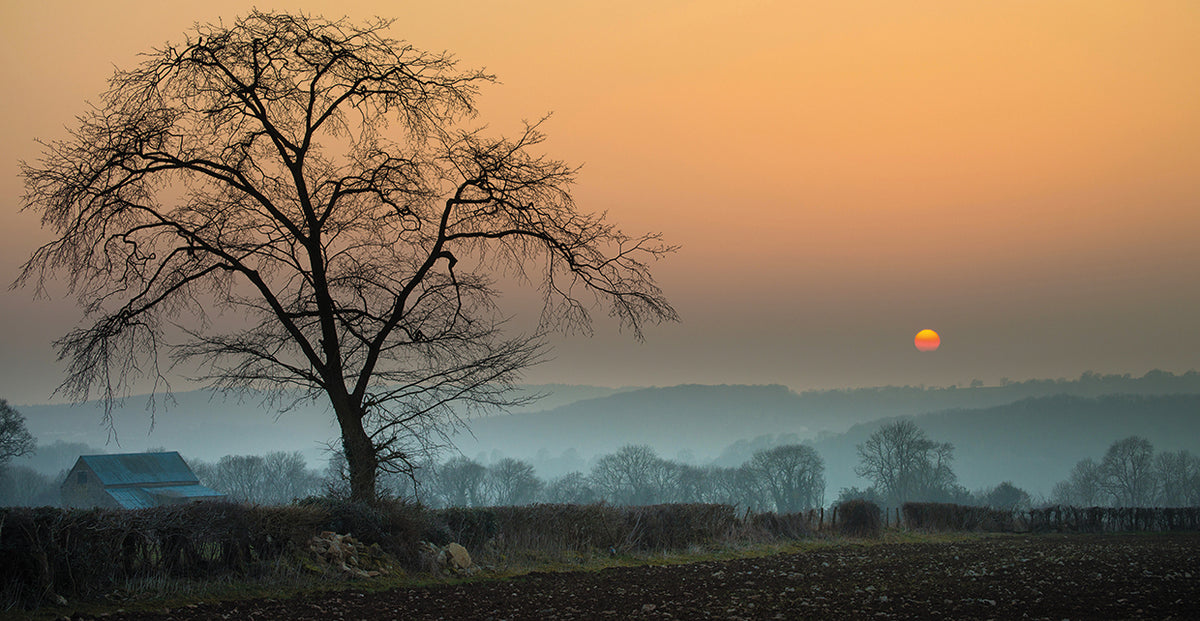 Morning Sun