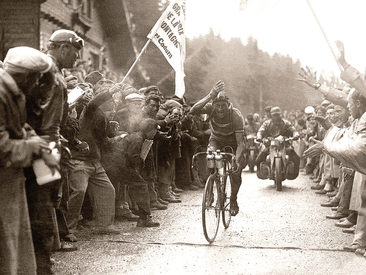 Coppi Bartali, 1949 Lienzos