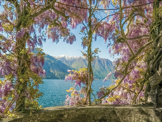 Wisteria and Mountains – Lago di Como Canvas Print