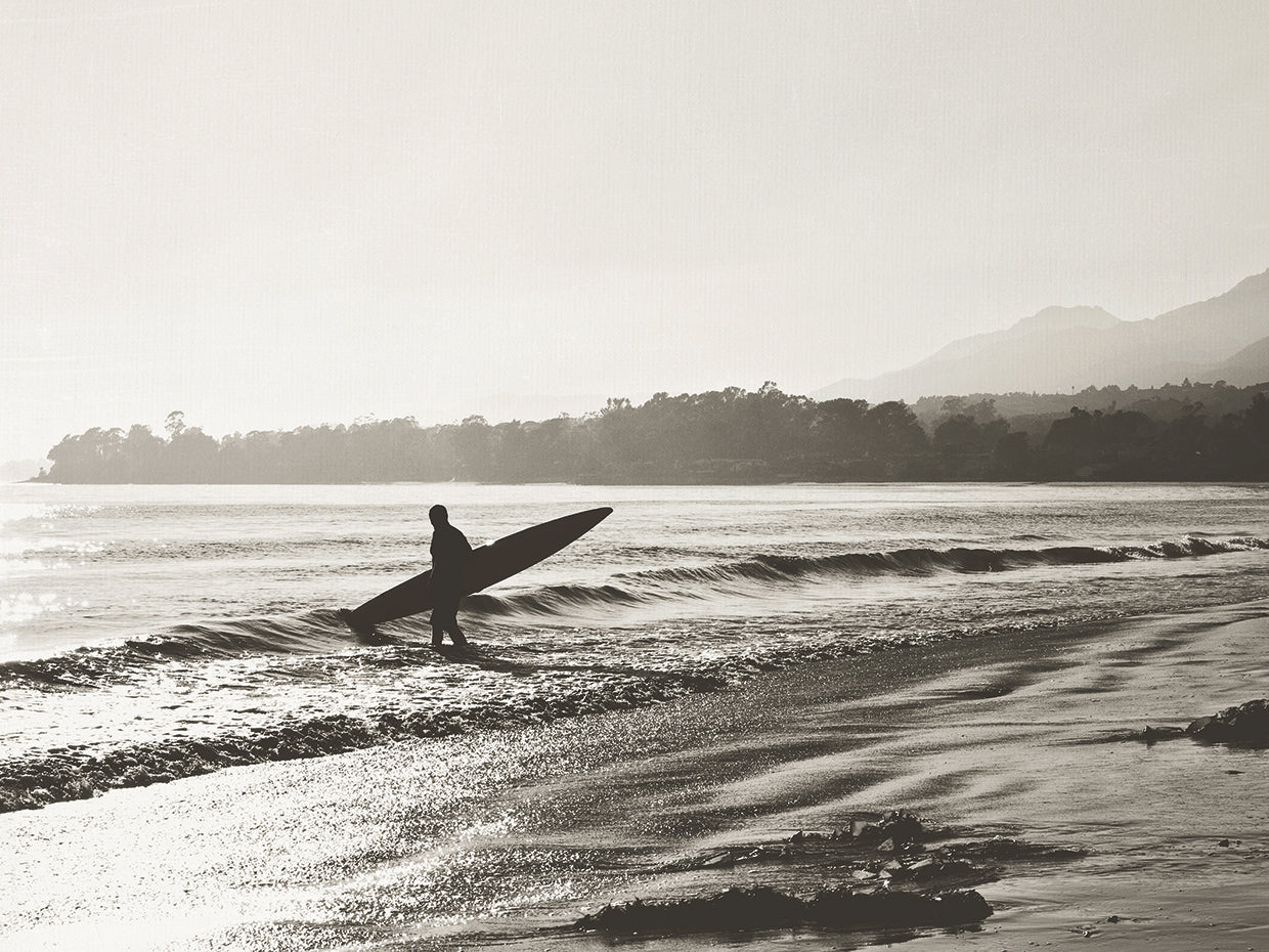 BW Surfer No. 3