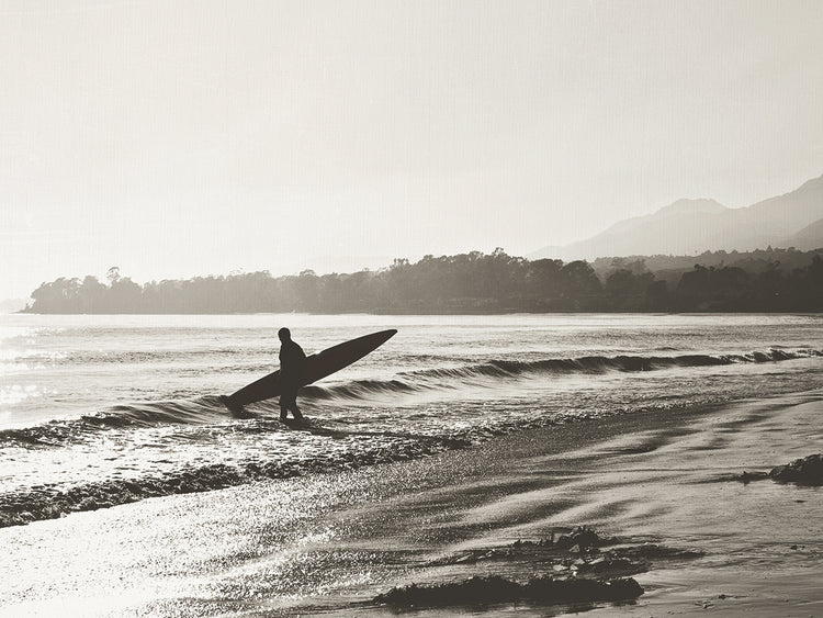 BW Surfer No. 3