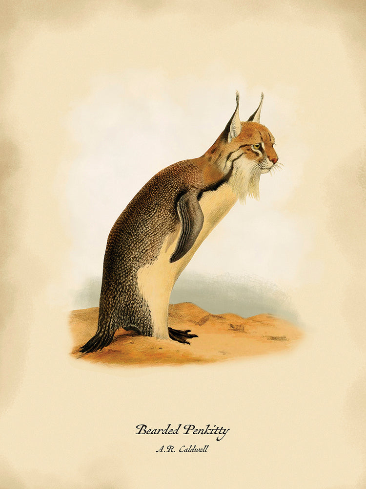 Pluma-gatito Lienzo