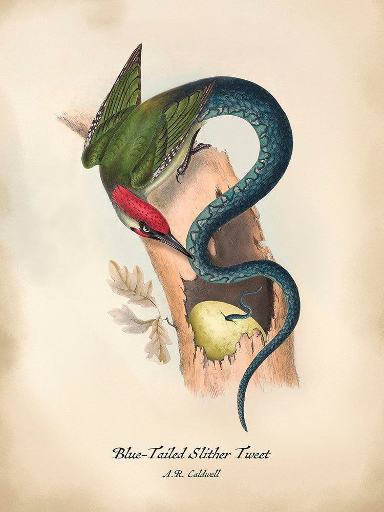 Slithertweet Lienzo
