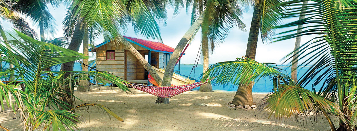 Twin Hammocks