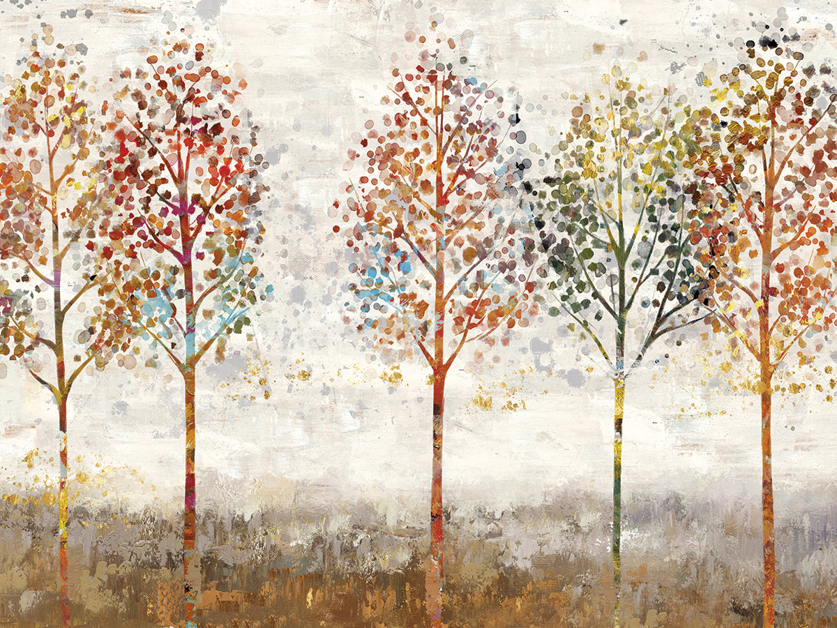 Forest In Fall II