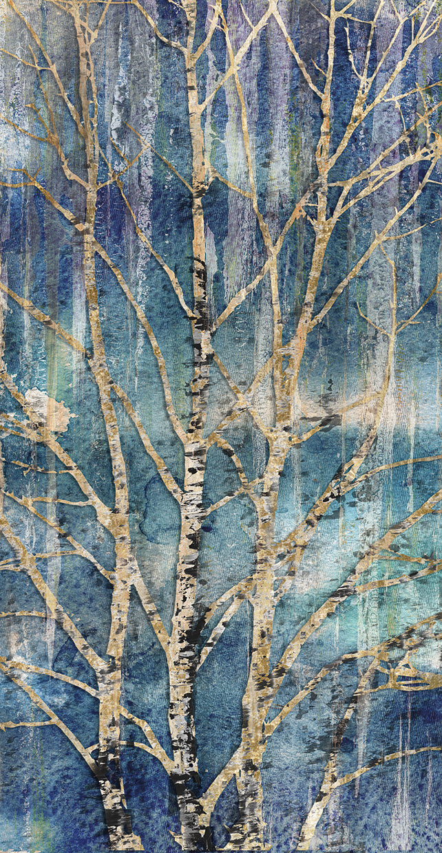 into-the-woods-i-heather-hayes