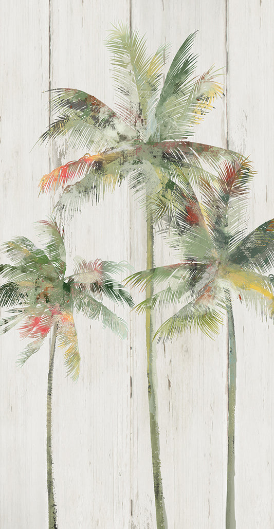 Shiplap Palms I Canvas Print
