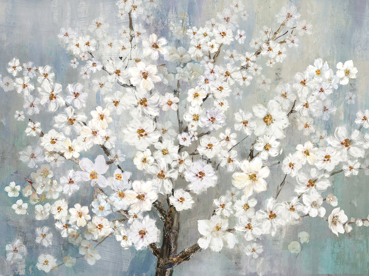 Cherry Blossoms