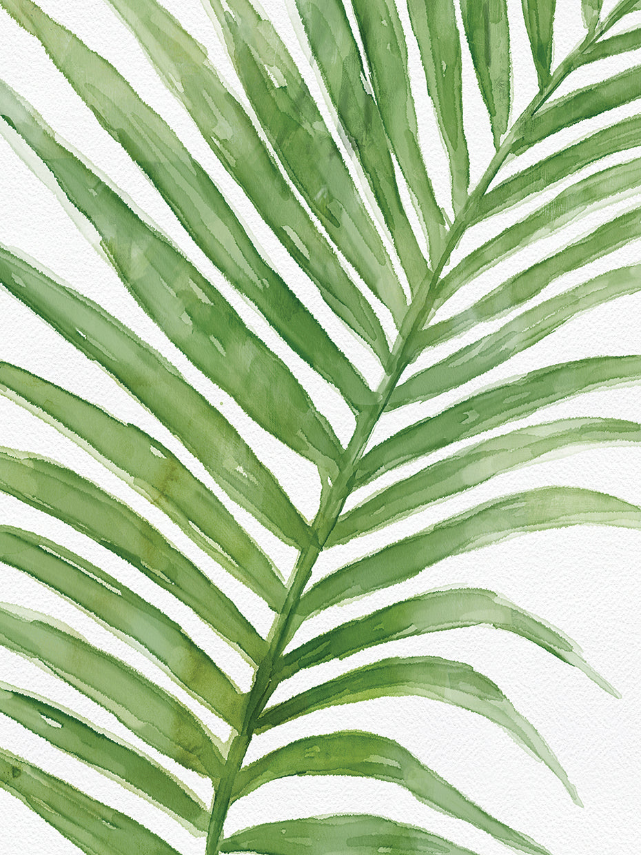 Palm Frond