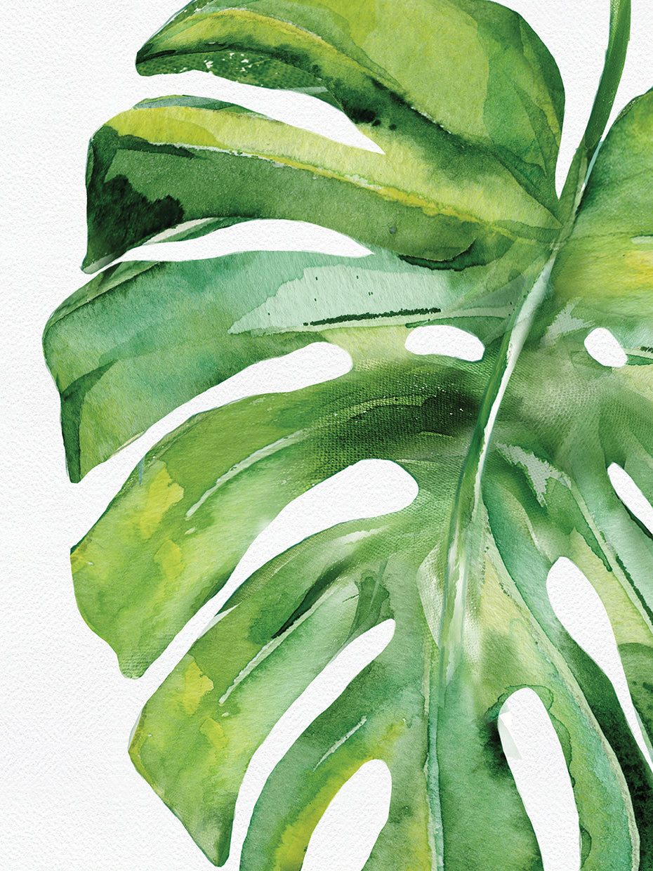 Tropical Leaf I