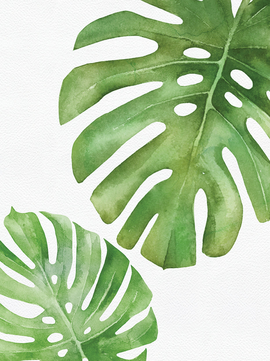 Tropical Leaf II