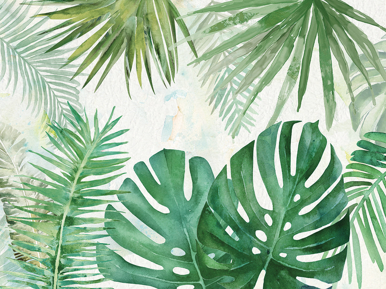 Tropical College I