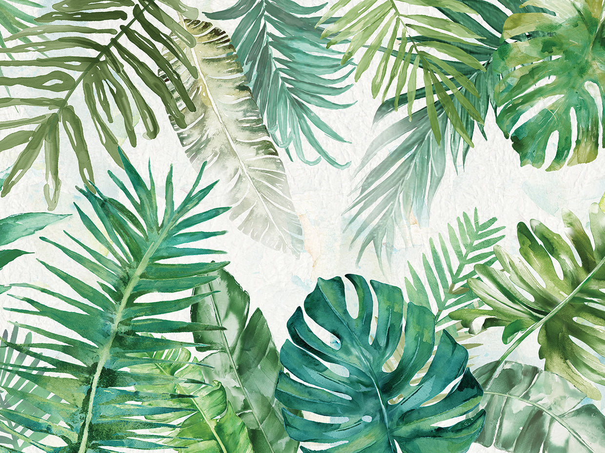 Tropical College II