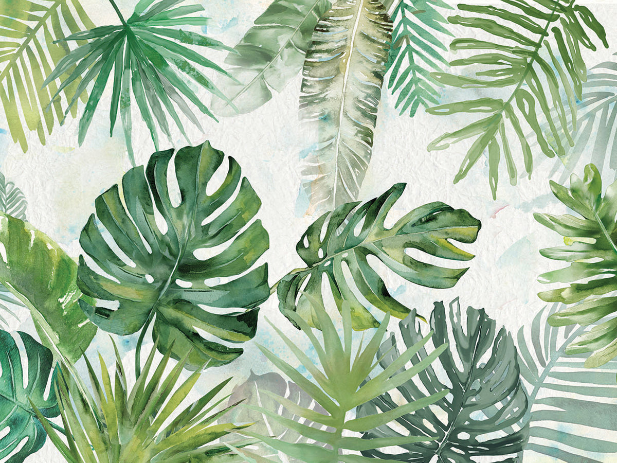 Tropical College IV