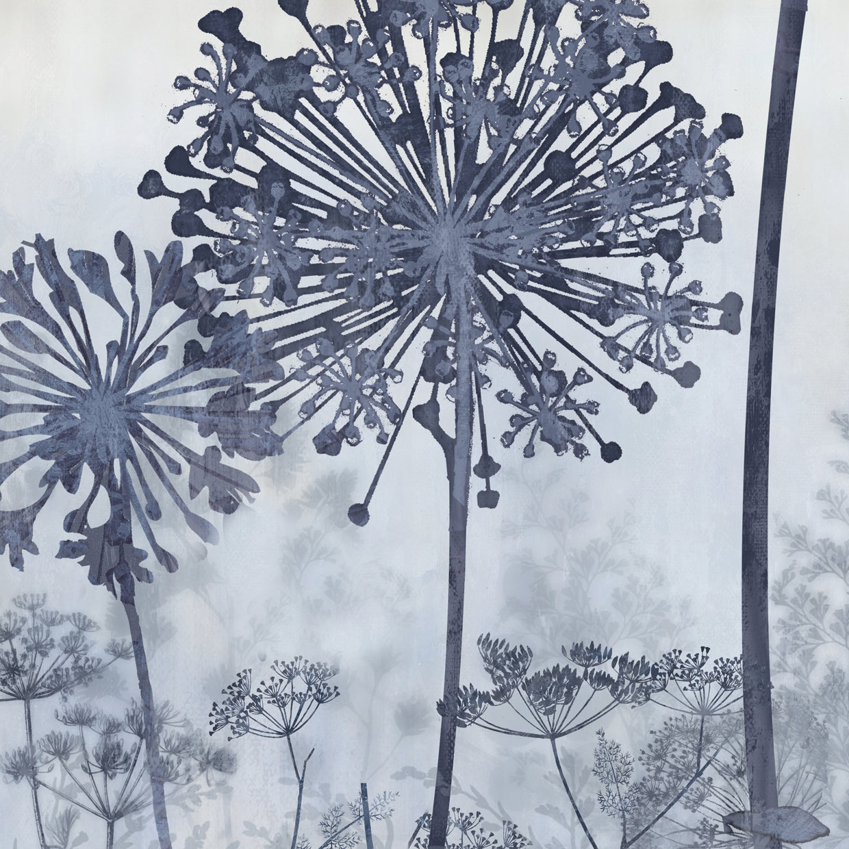 Nature Field II