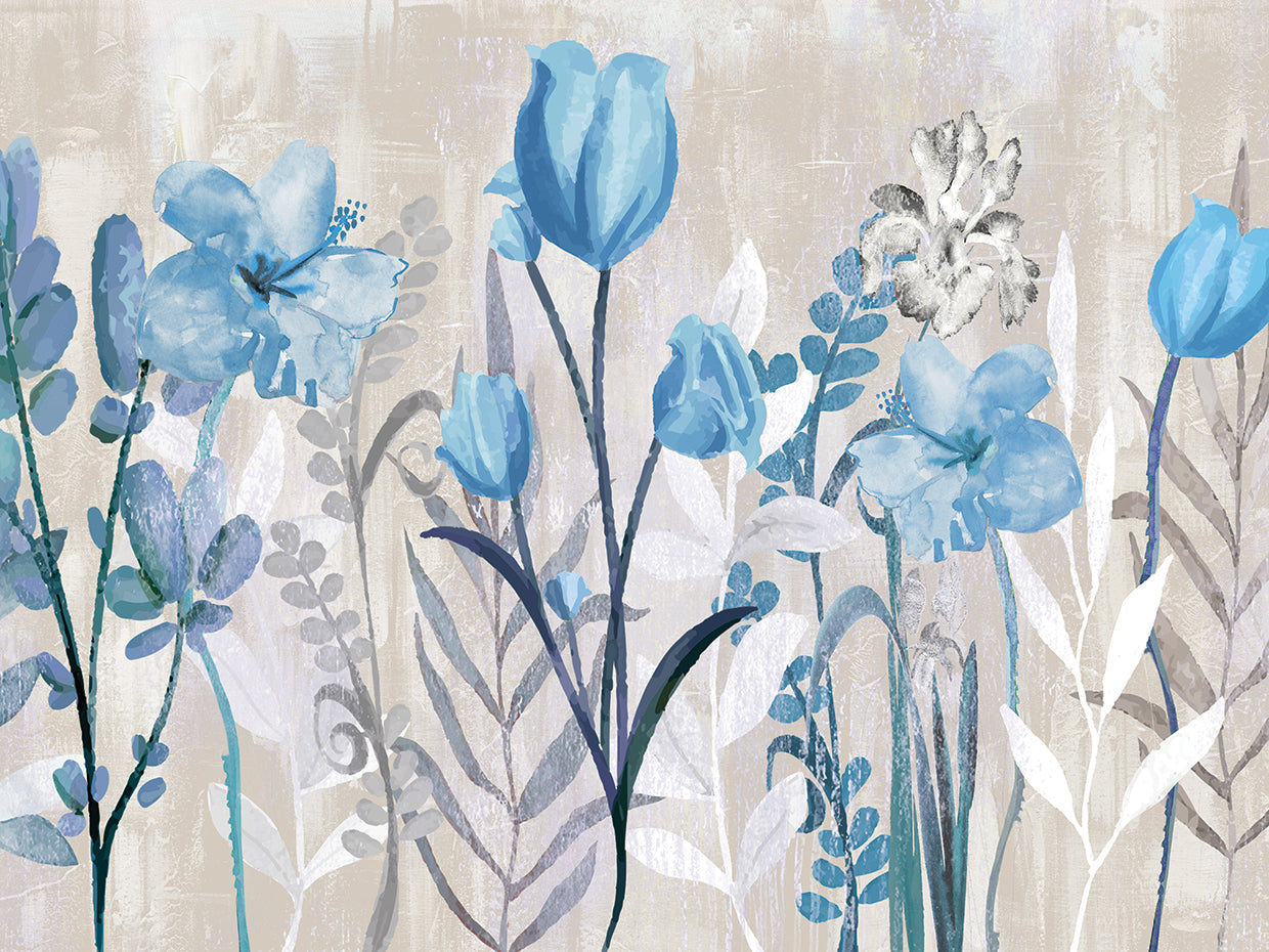 Belle Blue I