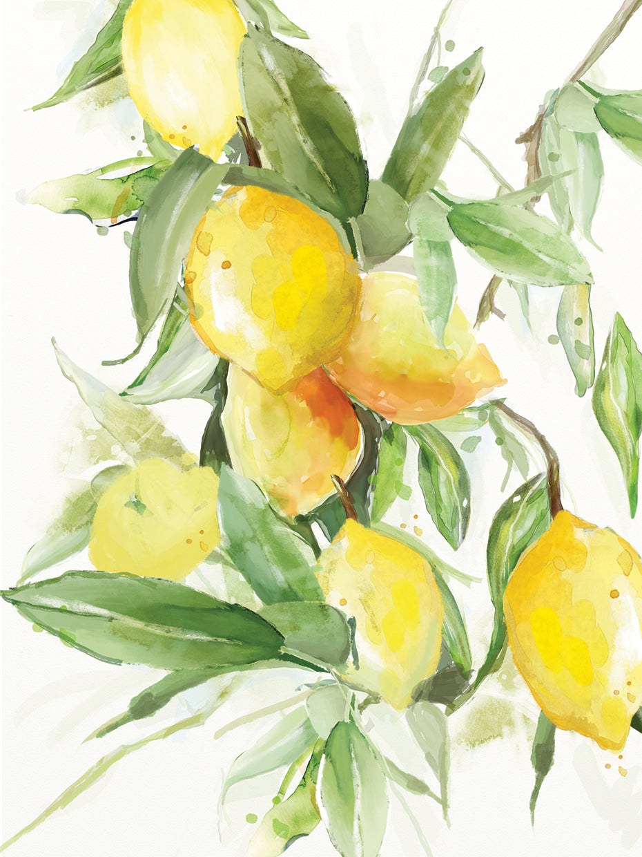 Lemon Fresh