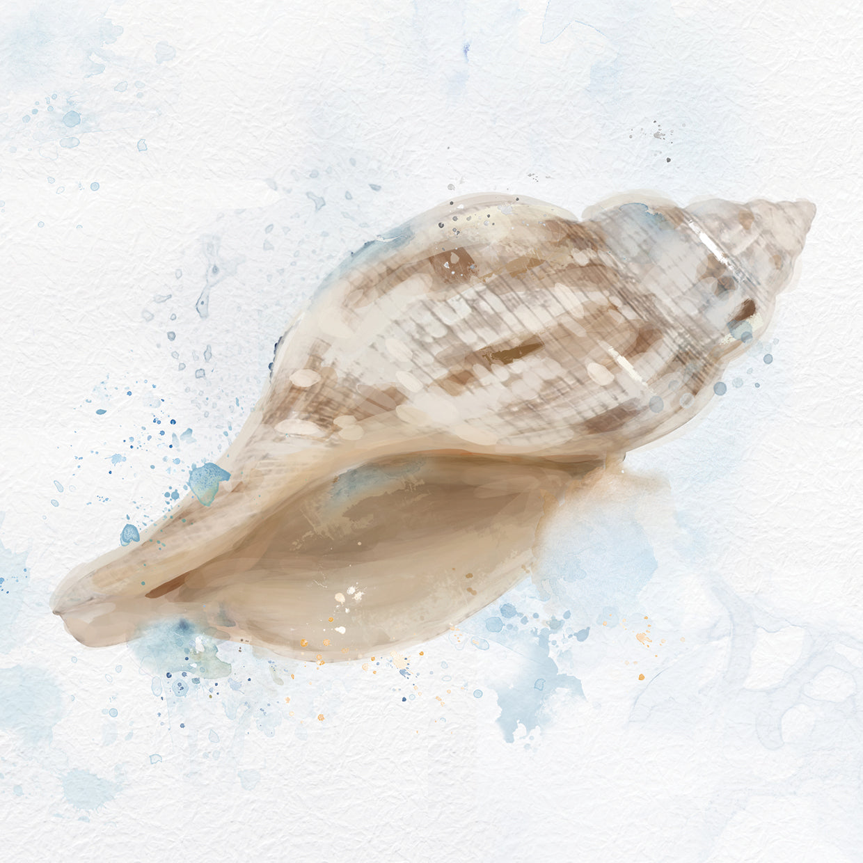 Tulip shell in beige