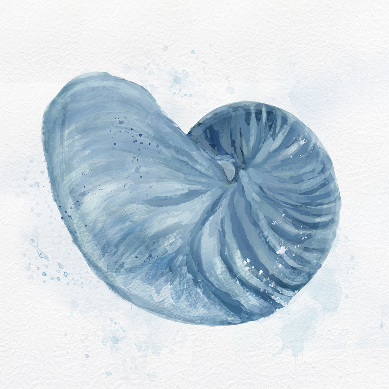 Nautilus In Blue