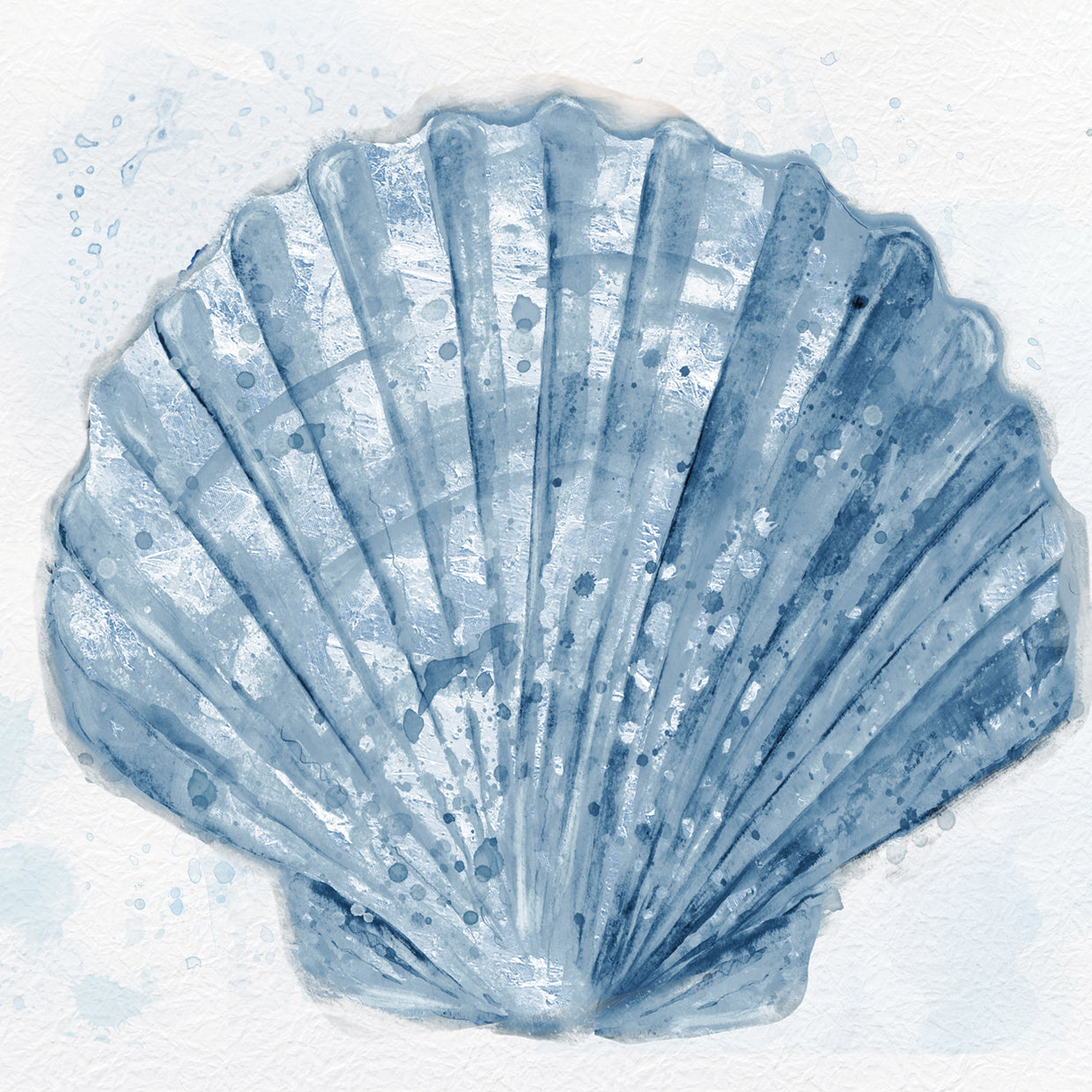 Scallop In Blue