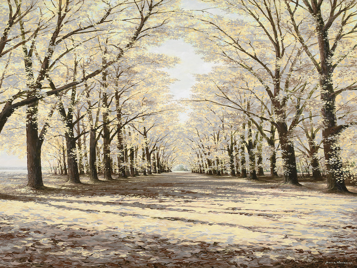 Winter Cathedral