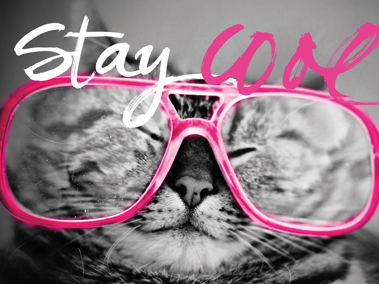 Stay Cool Cat