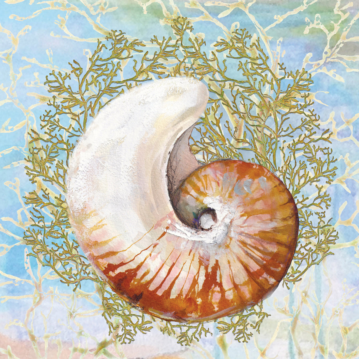 Shell Medley III
