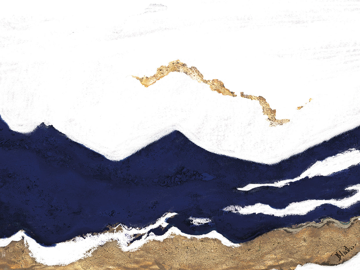 Navy and Gold Tierra II